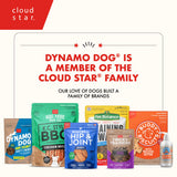 Cloud Star Dynamo Dog Skin & Coat Soft Chews Grain Free Dog Treats, Salmon, 14 oz. Pouch