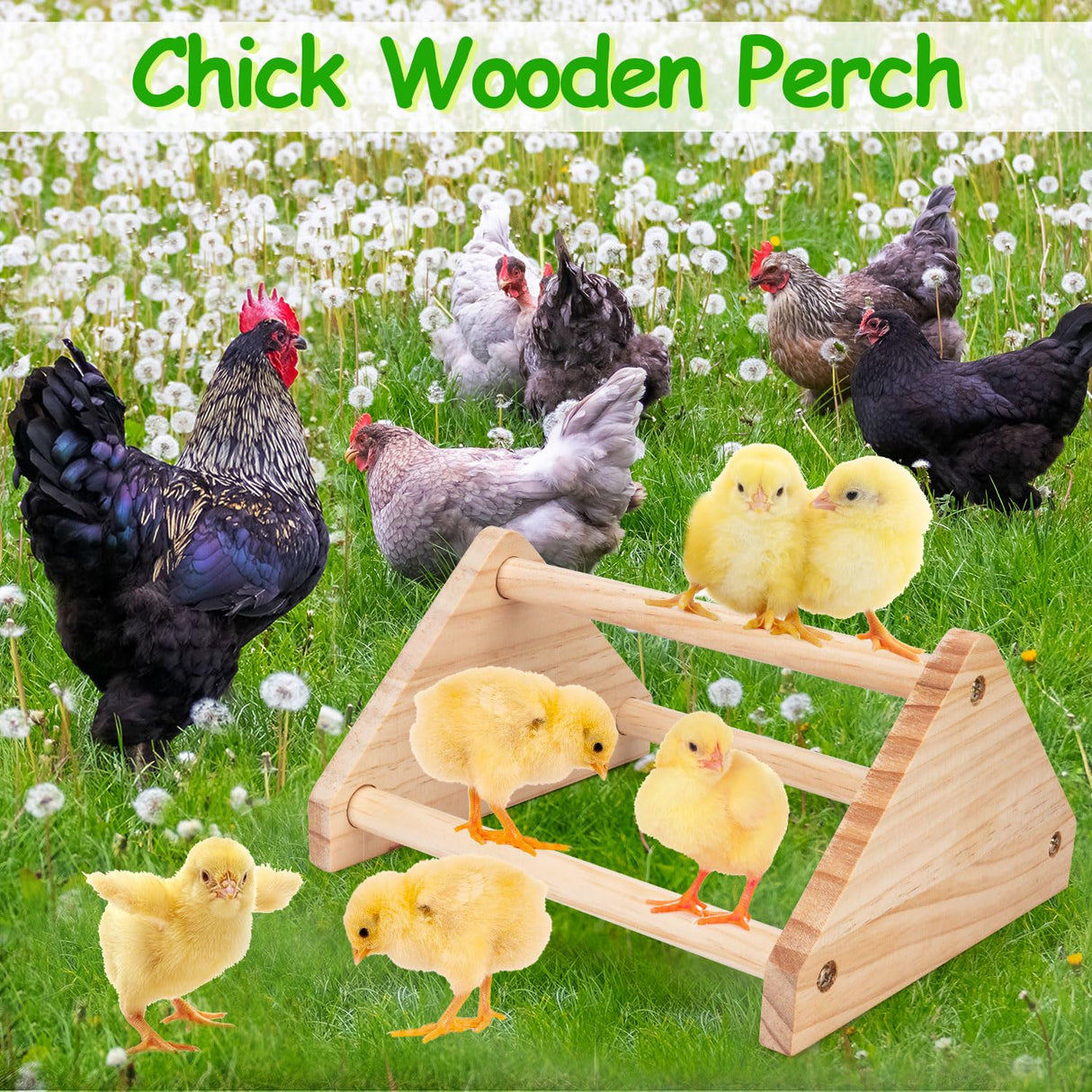 Chicken Perch Stand, 2PCS Pine Chicken Roosting Bars for coop and brooder, Training Perch Chick Fun Toys for Baby Chicks, Parakeets, Parrots