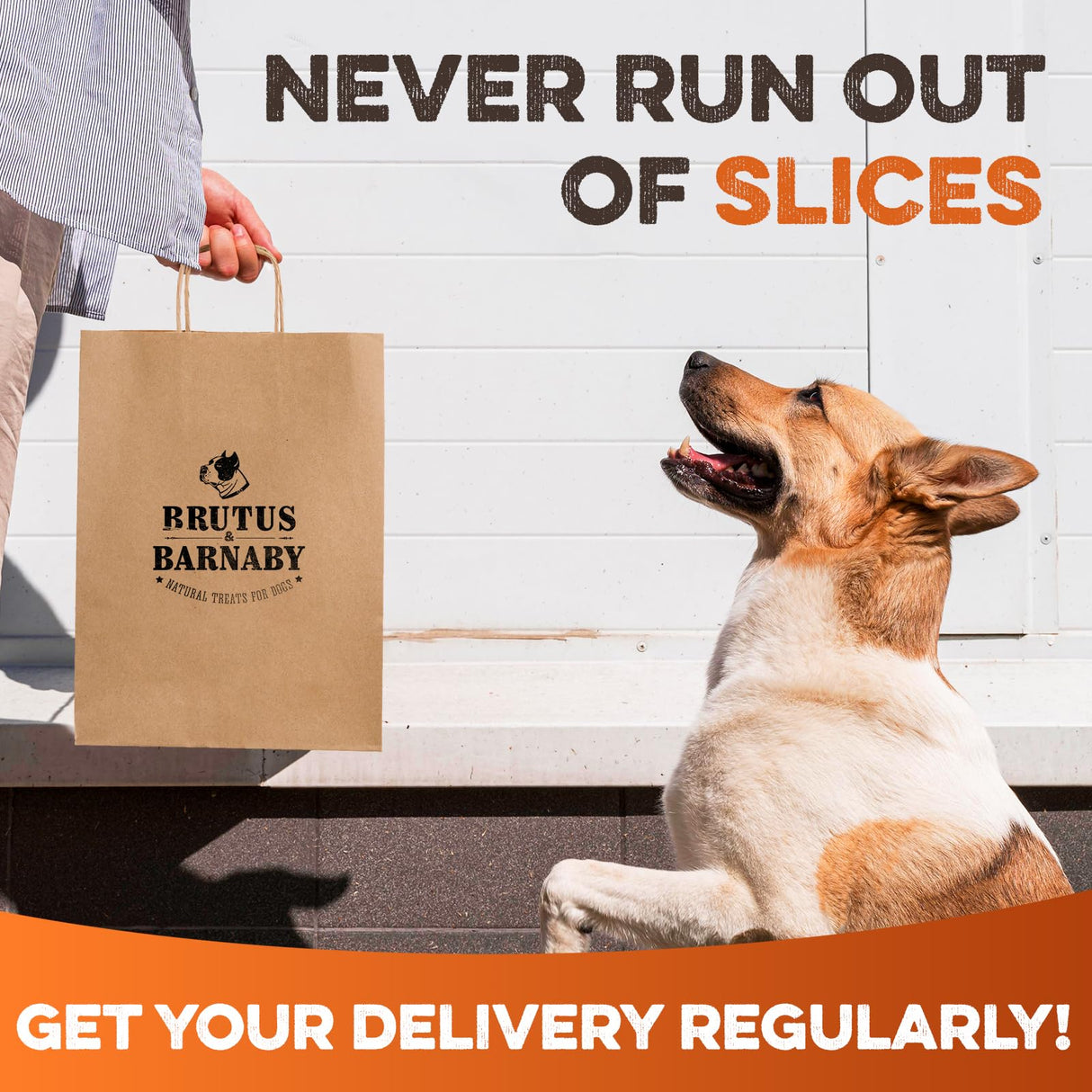 BRUTUS & BARNABY Sweet Potato Dog Treats – Support Sensitive Stomachs with USA-Grown, Hypoallergenic Treats That Smell as Good as They Taste