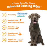 Zesty Paws Calming Chews for Dogs - for Everyday Stress, Relaxation, Composure, and Separation Turkey 90 Count