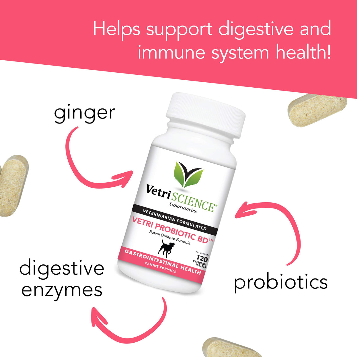 VetriScience Extra Strength Healthy Gut & Digestion Chewable Tablets, Probiotic BD Digestive Enzyme Supplement for Dogs, Probiotics and Enzymes Soothe Gut and Bowel Discomfort, Chicken, 120 Count