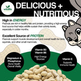 Wildlife Elements Peanut Party Unprocessed, Raw in-Shell Peanuts Wildlife Animal Food, 10lb - Rich in Protein, Healthy Fats, and Essential Nutrients for Birds, Squirrels and Waterfowl