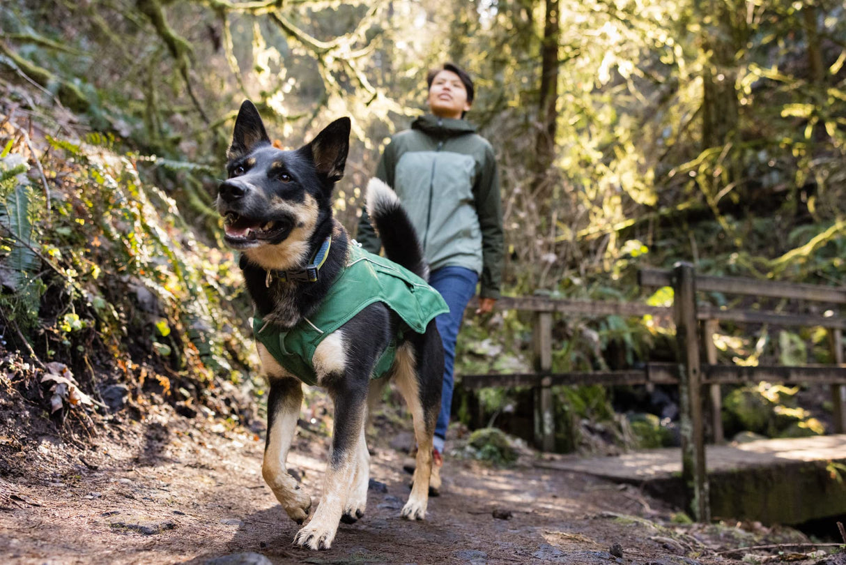 Ruffwear, Overcoat Fuse Jacket Harness Combo for Dogs, Evergreen, Large