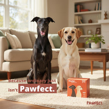 Load image into Gallery viewer, Pawfect Dog Poop Bags Rolls – Biodegradable Poop Bags, Compostable Dog Waste Bags, BPI Certified Pet Waste Bags, Unscented, Large, Puppy Poo, Earth Friendly, Bolsas Para Perros Popo (240 Counts)
