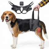 BARDIMIES Dog Lift Harness for Back Legs–Sturdy Dog Support Sling–Hip Sling Carrier for Large Medium Canine, Stair Helper for Aid Old Ligament Rehabilitation Pet, Grey,S