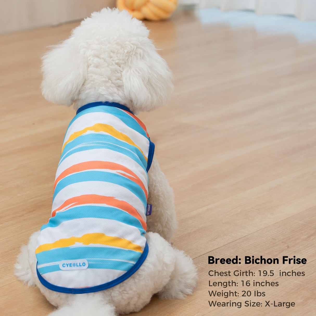 cyeollo 2pack Dog Cooling Shirt, Breathable Sleeveless Summer Clothes for Dogs, Intant Cool T Shirts for Small Dogs, Blue Fish S