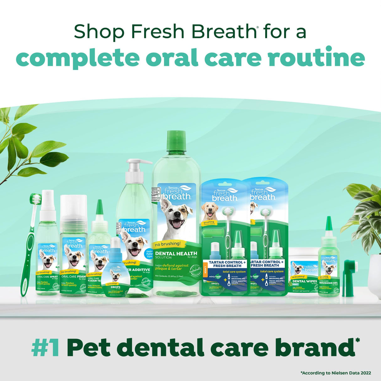 TropiClean Fresh Breath Water Additive for Dogs | Dog Breath Freshener & Teeth Cleaning Solution | No Toothpaste or Toothbrush Required | 16 oz + Pump