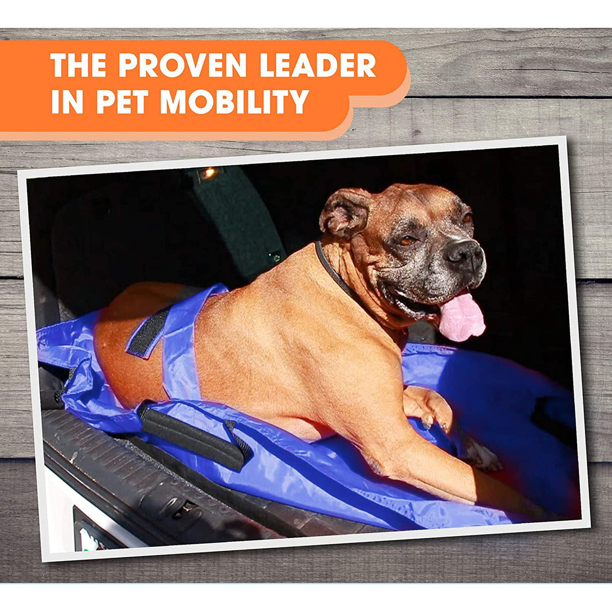 Transport Stretcher for Dogs, Pet Folding Stretcher Emergency Animal Carrier with Safety Strap Max 132 Pound Weight Animal Stretcher for Dogs (Blue)