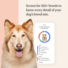 Load image into Gallery viewer, Wisdom Panel Premium Dog DNA Kit: Most Comprehensive with 265+ Health Tests, Identify 365+ Dog Breeds, 50+ Traits, Relatives, Ancestry, Genetic Diversity - Pack of 1
