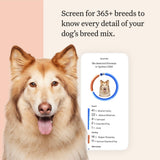 Wisdom Panel Premium Dog DNA Kit: Most Comprehensive with 265+ Health Tests, Identify 365+ Dog Breeds, 50+ Traits, Relatives, Ancestry, Genetic Diversity - Pack of 1