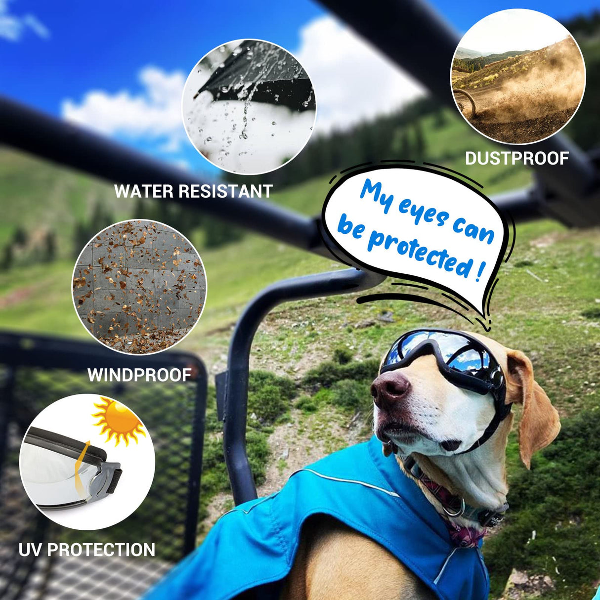 LESYPET Dog Helmet and Goggles, Large Dog UV Protection Pet Sunglasses Motorcycle Helmet, Adjustable, Riding and Driving, Black