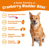 Zesty Paws Cranberry Supplement for Dogs - Bladder Control for Dogs - Urinary Tract Support - Cranberry Chews with D-Mannose, Vitamin B6 & L-Arginine - Immune & Gut Support - Bacon - 90 Count