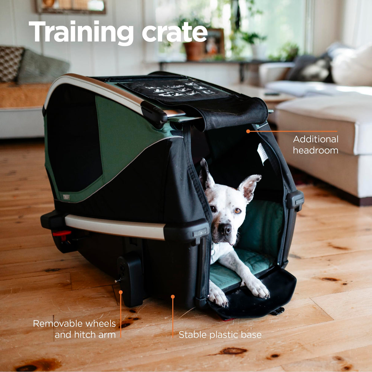 Thule Bexey pet Bike Trailer - Carrier for Small & Large Sized Dogs - Foldable Design - Easy to Connect to Bike - Padded Interior - Converts into Travel Crate - Durable Materials