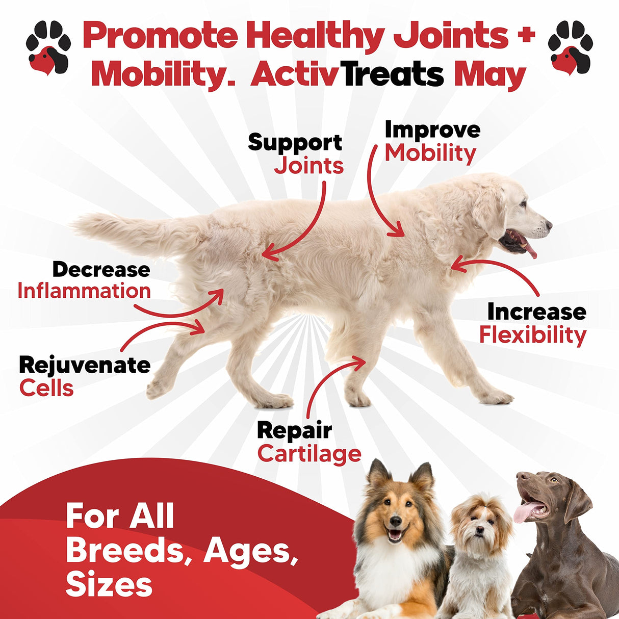 Glucosamine for Dogs Hip and Joint Supplement - Safe Joint Support - Glucosamine Chondroitin MSM Turmeric - 120 Mobility Joint Care Chews for Dogs - ActivTreats for All Breeds Ages and Sizes.