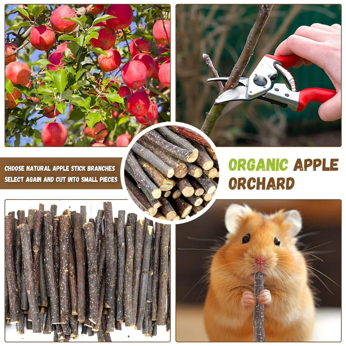 WYOMER 2lb(900g) Small Apple Sticks for Rabbits, Animals Molar Wood Treats Toys for Chinchillas Guinea Pig Hamster Gerbil Parrot Bunny and Small Animals Chew Stick Toys Treats