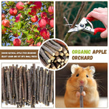 WYOMER 2lb(900g) Small Apple Sticks for Rabbits, Animals Molar Wood Treats Toys for Chinchillas Guinea Pig Hamster Gerbil Parrot Bunny and Small Animals Chew Stick Toys Treats