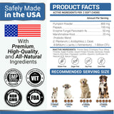 Probiotics for Dogs and Digestive Enzymes - 170 Dog Probiotics Chews - Dog Probiotic - Anti Diarrhea, Upset Stomach & Gas Relief, Canine Prebiotic - Pet Fiber Supplement - Bacon Flavor