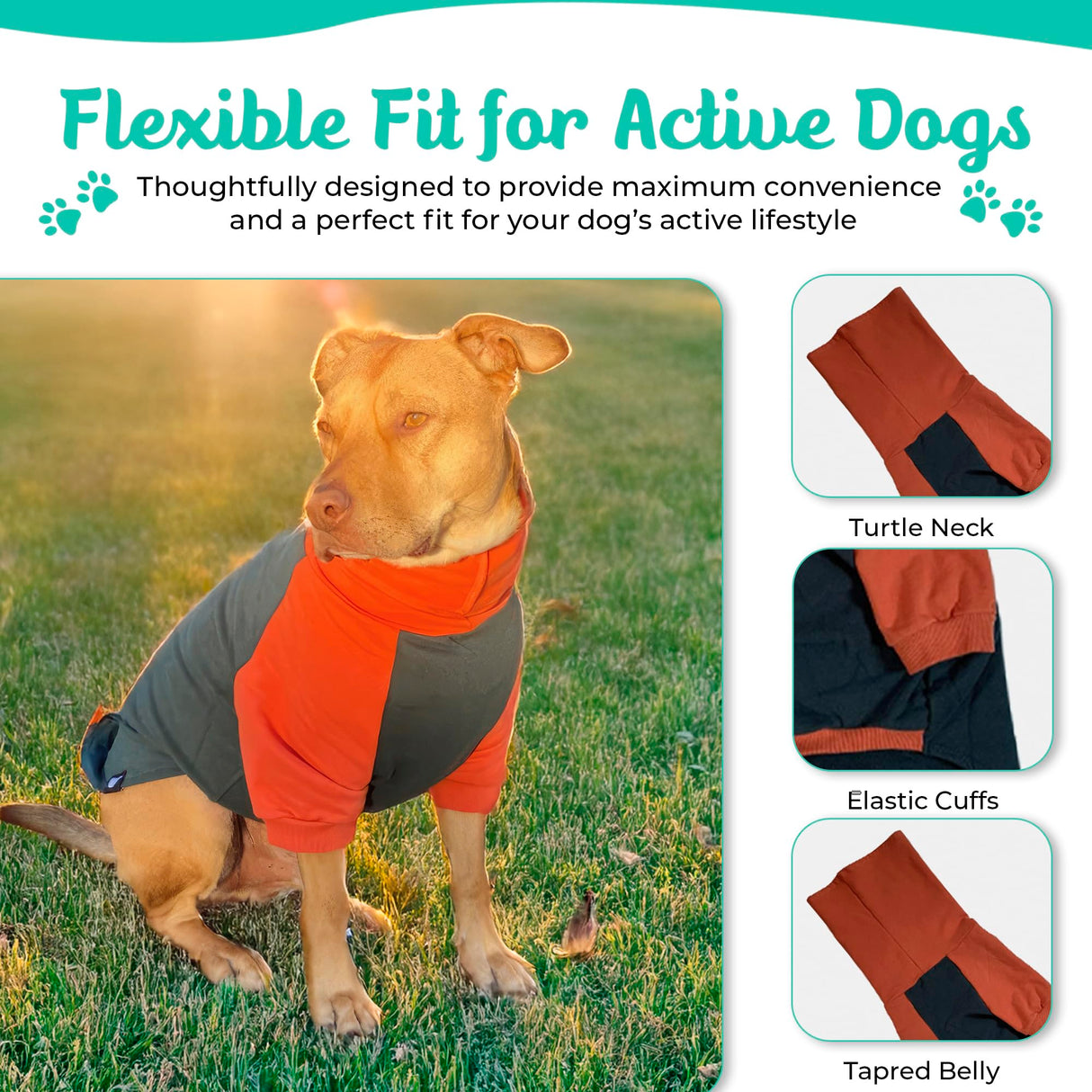 Tooth & Honey Pitbull Dog Sweater - Dark Green & Orange (Large)