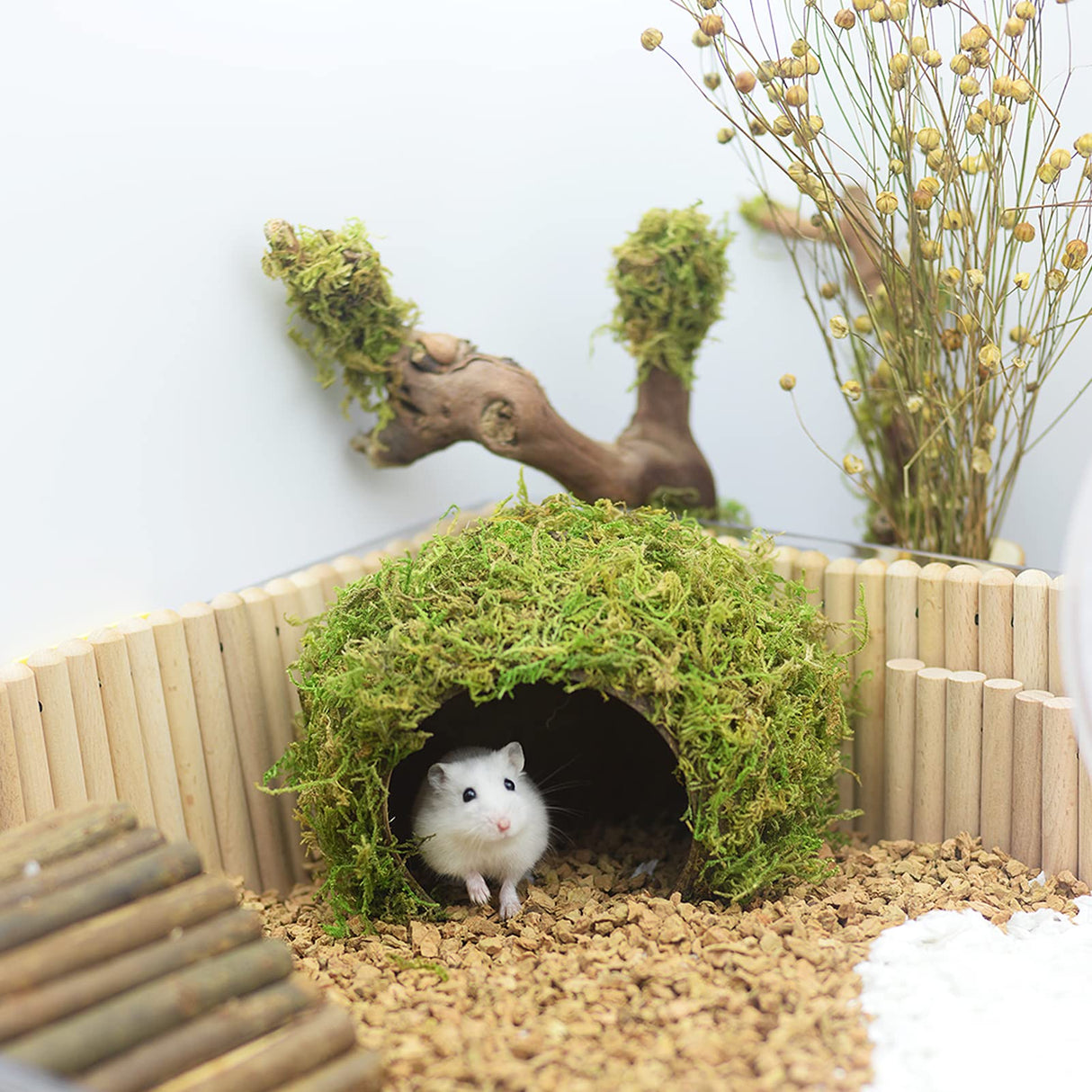 SanmooAio Hamster Hideout - Large, Natural Moss, Handcrafted for Syrian Hamsters, Rats & Guinea Pigs, Safe & Eco-Friendly
