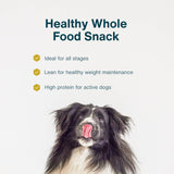 JustFoodForDogs Healthy Dog Treats, Single-Ingredient, Chicken Breast, 5 oz