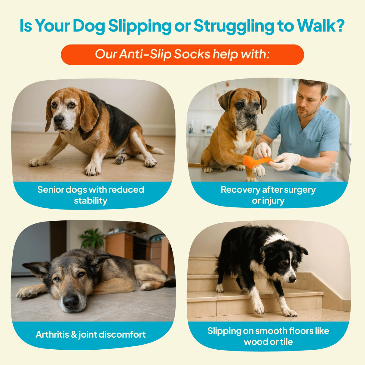 Steady Paws Anti-Slip Socks for Dogs - Breathable & Washable Non Slip Grippy Socks, Rubberized Paw & Adjustable Strap, Secure Fit to Prevent Slipping, Paw Protection for Senior Dogs, 4 Pack (Size XL)