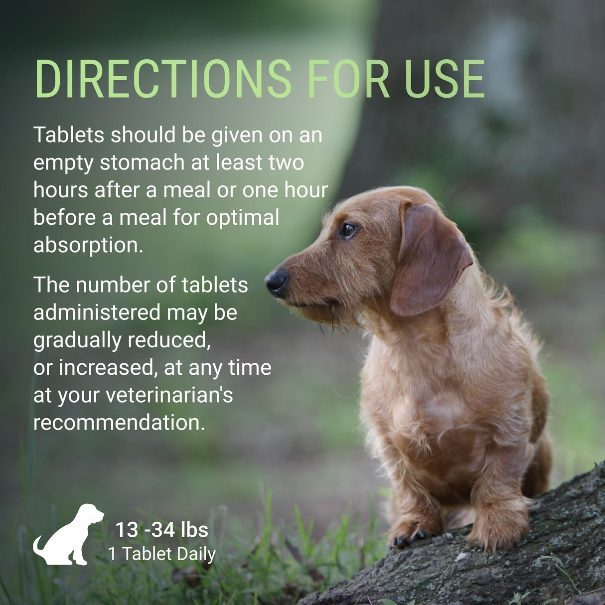Nutramax Denosyl Liver and Brain Health Supplement for Medium Dogs - With S-Adenosylmethionine (SAMe), 30 Tablets