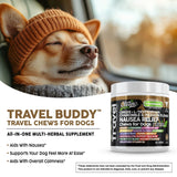 Clean Pets Travel Chews Nausea Relief for Dogs | Ginger L-Tryptophan Chamomile Passion Flower L-Theanine Peppermint Valerian Root Fennel Licorice Root Marshmallow Root Slippery Elm Melatonin Chew