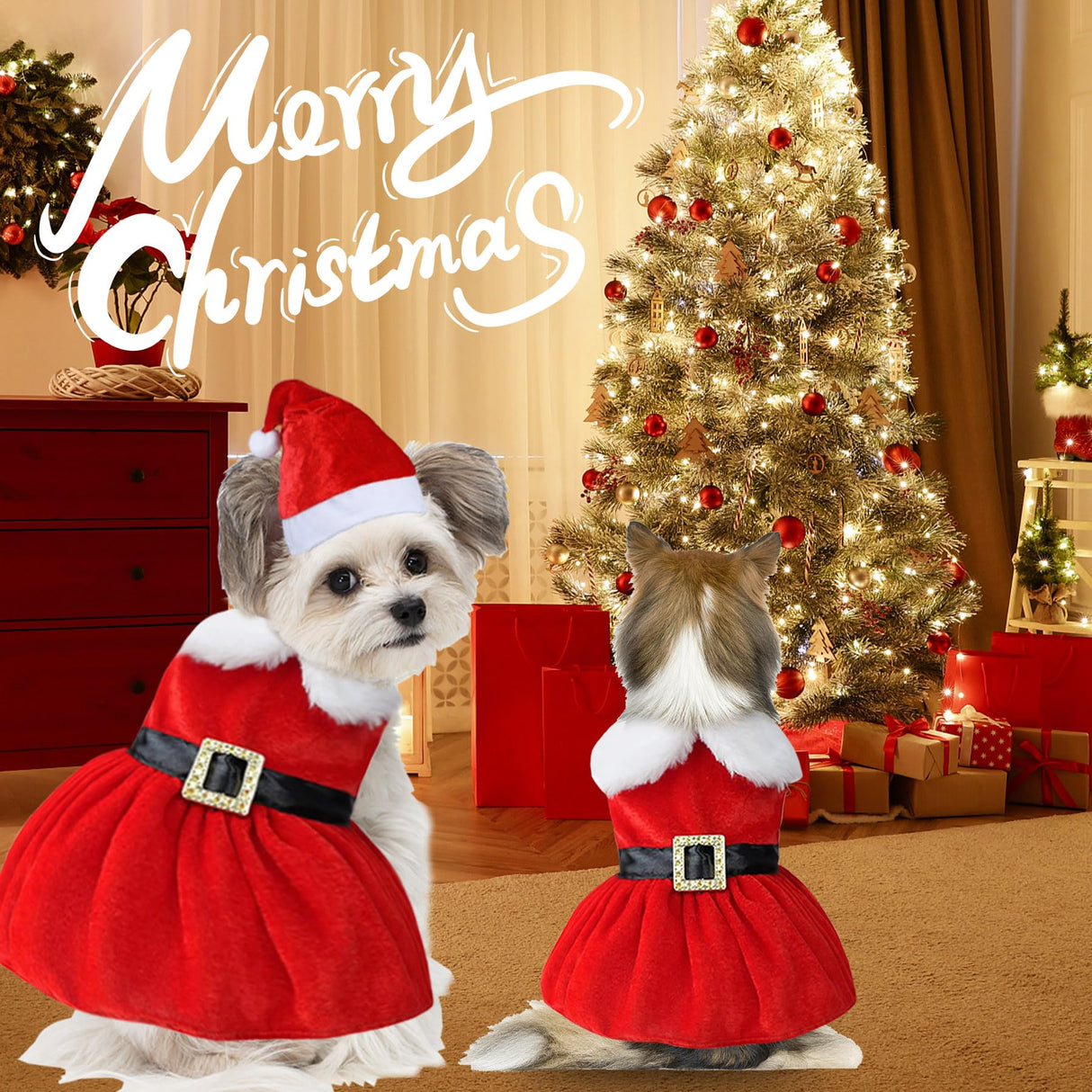 GOYOSWA Cat Kitten Christmas Outfit Cat Christmas Dress Santa Costume Clothes Dog Holiday Outfit Pet Santa Hat Dresses for Kittens Cats Puppy (Dress & Hat, Small)