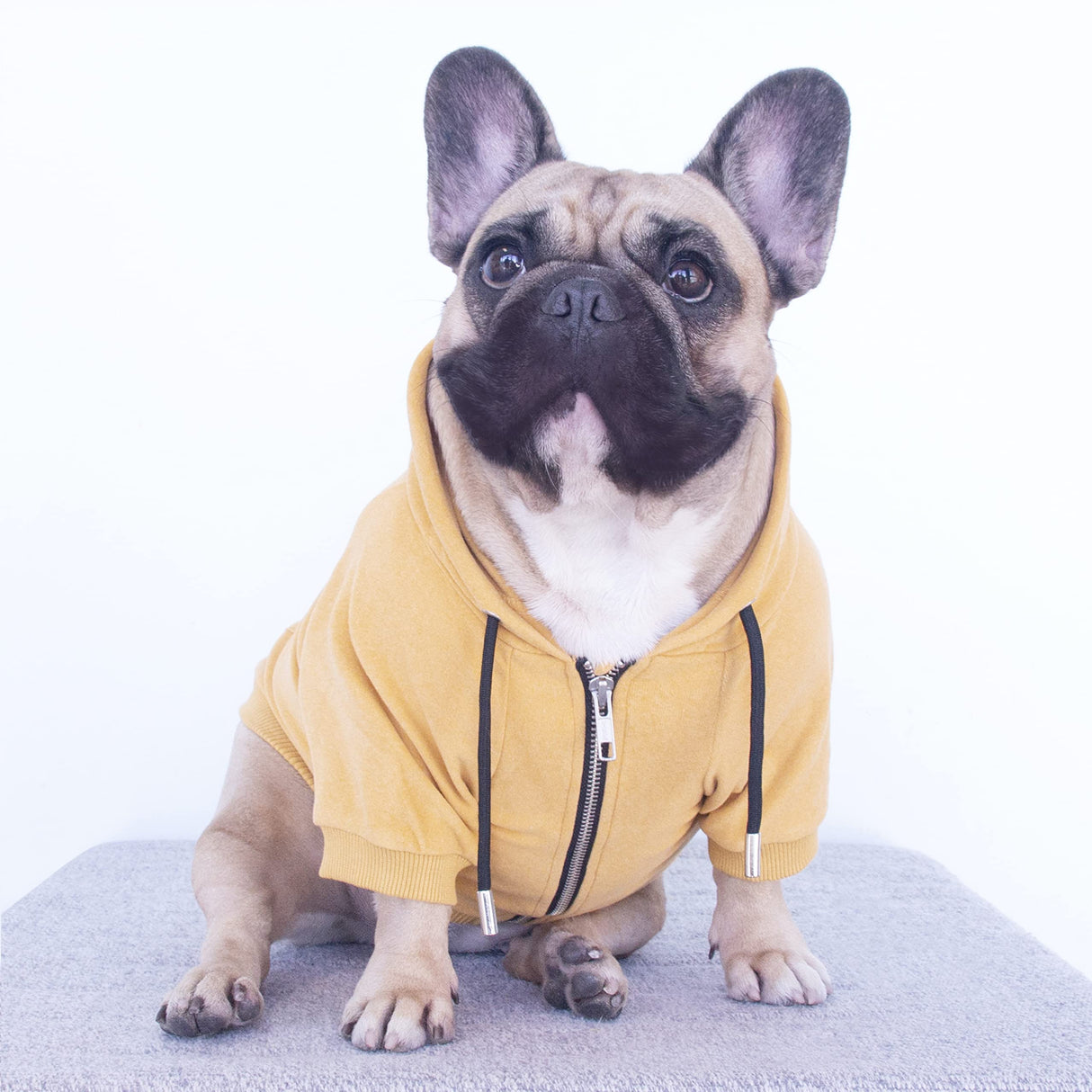 iChoue Exclusive Luxury Soft Pro French Bulldog Clothes Hoodies Sweatshirt Coat for Medium Dogs Frenchie Pug English Corgi Boston Terrier Pitbull - Yellow/Size Small