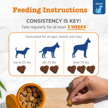 Load image into Gallery viewer, Zesty Paws Senior Dog Multivitamin Treats - Glucosamine for Dogs + Digestive Enzymes &amp; Probiotics - Grain Free Dog Vitamins and Supplements for Skin &amp; Coat + Immune Health Beef - Advanced - 90ct

