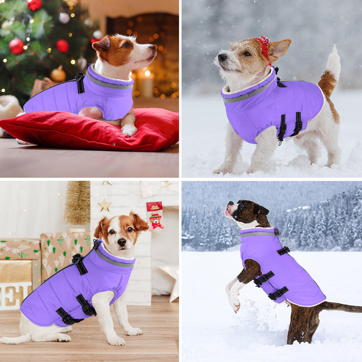 Dogcheer Dog Coat with Harness, Waterproof Dog Jacket Adjustable Winter Coat with Zipper, Christmas Puppy Snow Jacket Fleece Sweater for Small Medium Large Dogs - Taro Purple 3XL