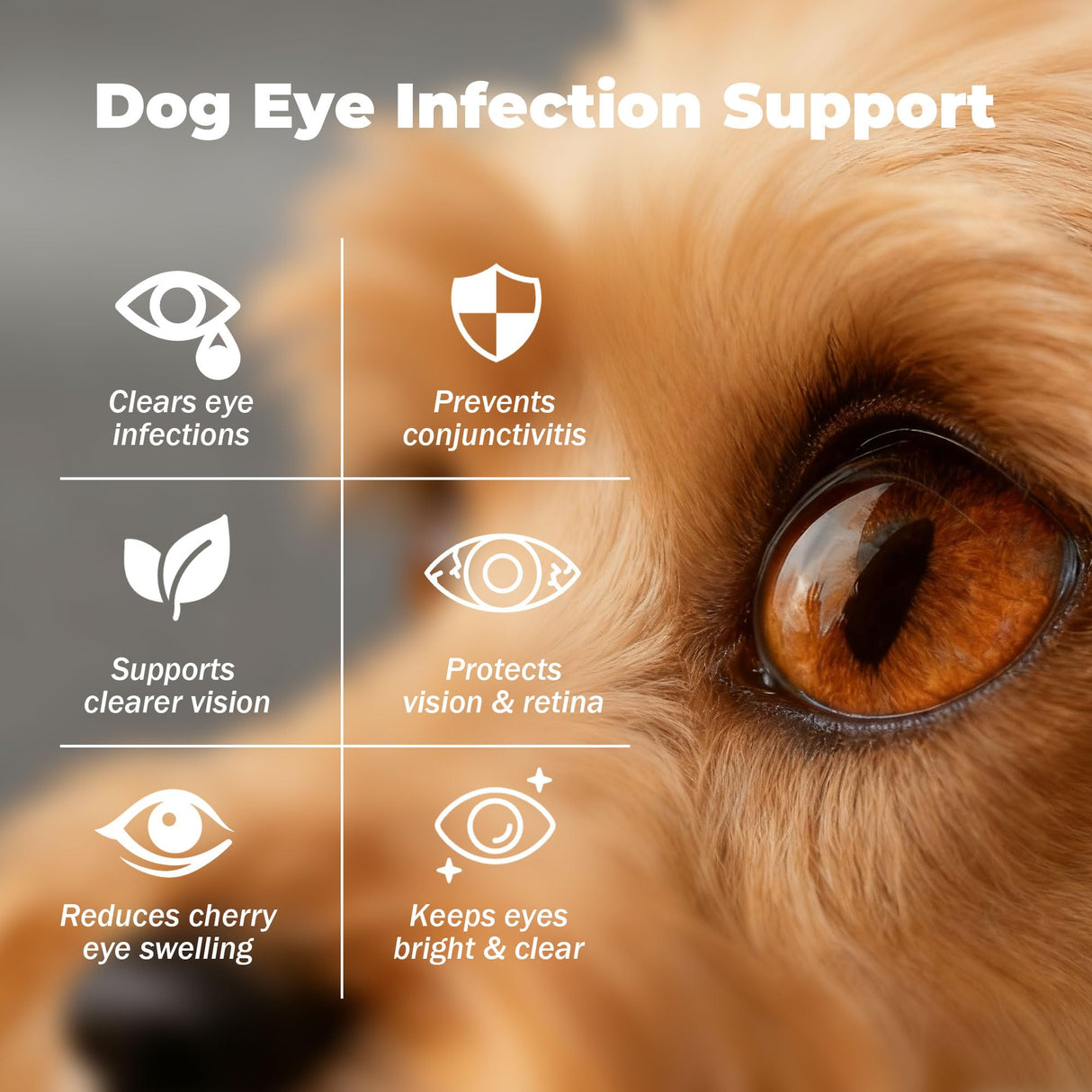 Dog Eye Infection & Eye Care Support Supplements | All-Natural Support for Conjunctivitis, Swelling, Dry Eyes, Tear Stains & Discharge | with L-Lysine, Omega-3 & Lutein + Zeaxanthin | 2.03 fl oz