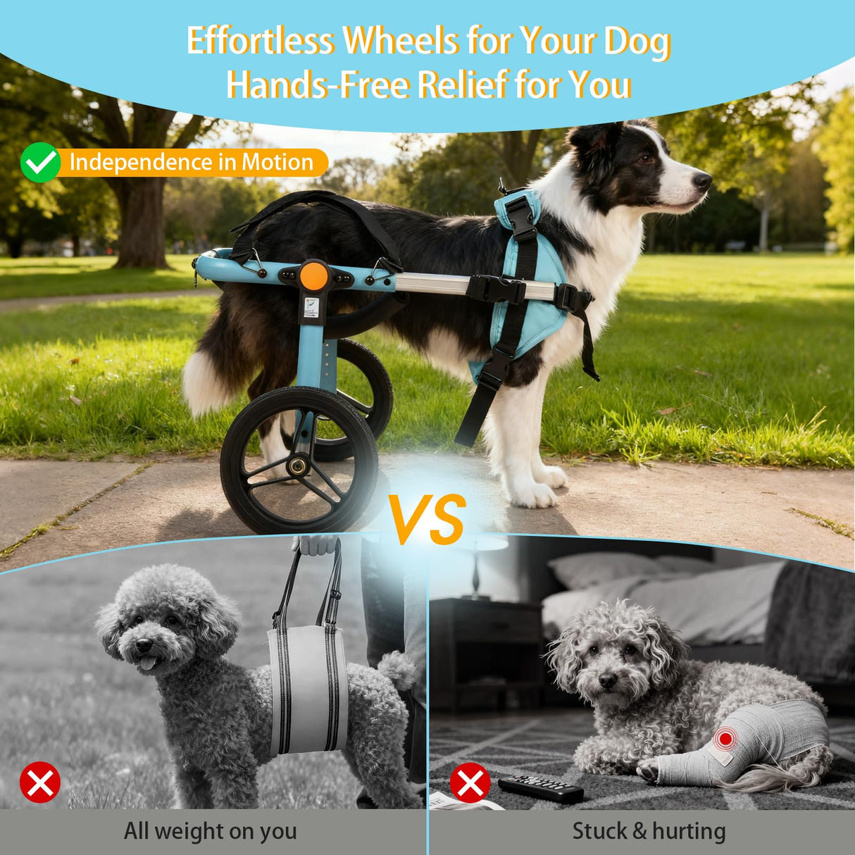 TailWaggers Medium Dog Wheelchair for Back Legs | Adjustable Mobility Aid | All-Terrain Wheels| for Pets That fit a Border Collie,Golden Retriever Dog's Size