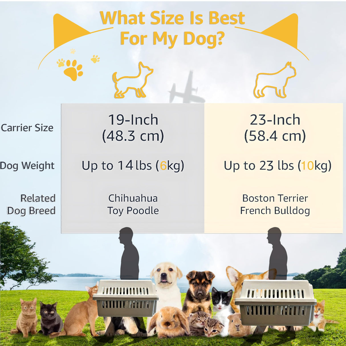 LLGJ-Pets Spree Travel Pet Carrier Dog/cat Hard-Sided Carriers for Pets up to 14 Pounds Small Animal Carrier Airline/Road Travel Approved Stout (Coffee)