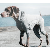 Hurtta Body Warmer Dog Body Suit, Recovery Suit, Carbon Grey, 10M