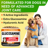 Senior Advanced Glucosamine Chondroitin Joint Supplement for Dogs - Hip & Joint Pain Relief Pills - Large & Small Breed - Hip Joint Chews Canine Joint Health - Chews Older Dogs - Bacon Flavor-120Ct