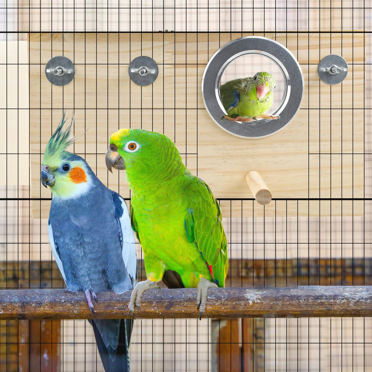 CooShou Parakeet Nesting Box Cockatiel Nesting Natural Pine Bird Nest Bird Breeding Box House Acrylic Transparent Bird Box with Detachable Wooden Board for Lovebirds Cockatiel Budgie Conure Parrot XL