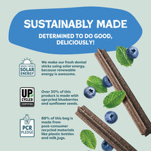 Load image into Gallery viewer, Shameless Pets Blueberry &amp; Mint Dental Chews for Dogs, 32 Chews - Natural Dog Teeth Cleaning Treats with Fresh Breath Benefits | Grain-Free Dental Sticks for Small, Medium &amp; Large Dogs
