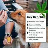 Lolahemp Hip & Joint Hemp Oil for Dogs – Mobility Support with Organic Hemp & Turmeric – Mobility, Comfort & Longevity