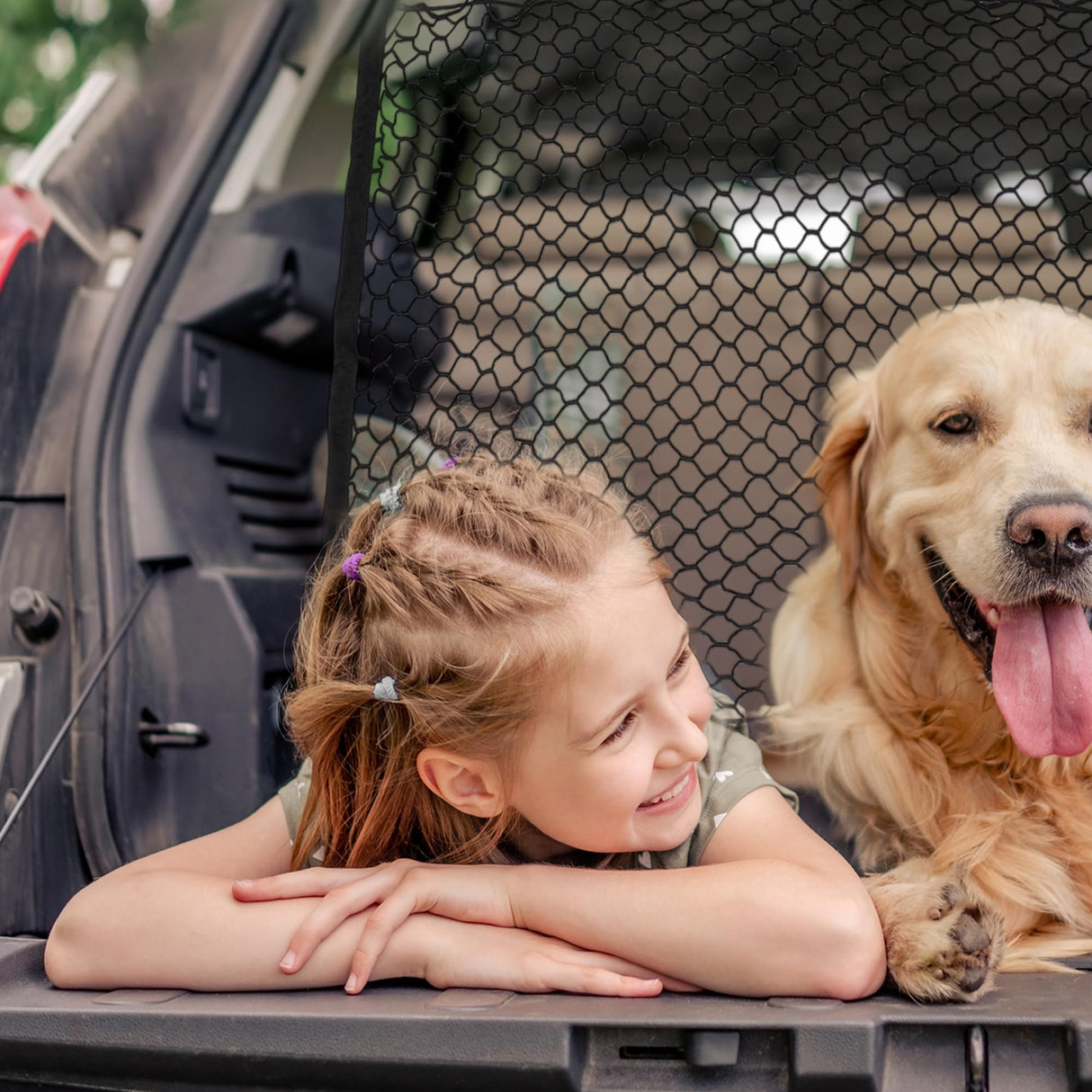 GLIDESMOOTH Dog Car Net Barrier, Hook Pet Divider - Black, 47.24"x27.56"