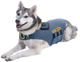 CozyVest® Dog Anxiety Vest 3-in-1 Music & Aromatherapy Shirt, Relaxing Sound & Essential Oils Jacket, Fireworks Thunder Separation & Thunderstorm Canine Stress Relief Coat (Gray, Large [41-64 Lbs])
