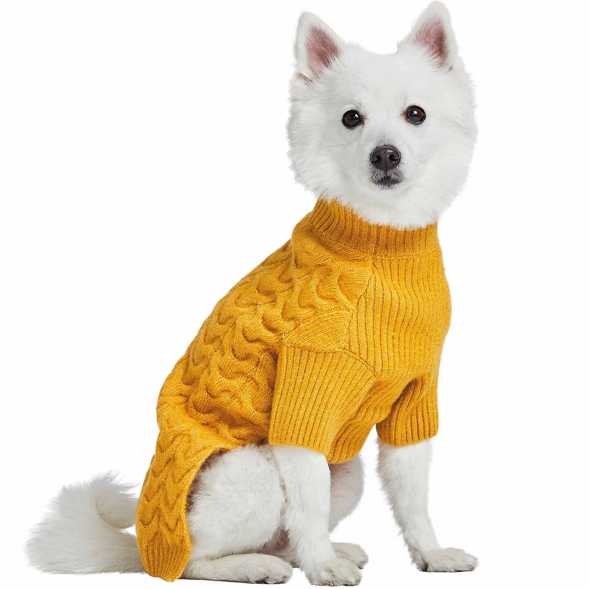 Blueberry Pet Dog Sweater - Mustard Yellow Fuzzy Knit Turtle-Neck Christmas Style, Puppy Clothes & Pajamas, Sweater Vest for Small Dogs, Accessories, 10" Back Length