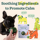 WOOF Pupsicle Refill Pops for Calming - Long-Lasting Refills for The Pupsicle Toy to Promote Calm - Calming Dog Treats - Magnesium for Dogs- Small Pops - 10 Count
