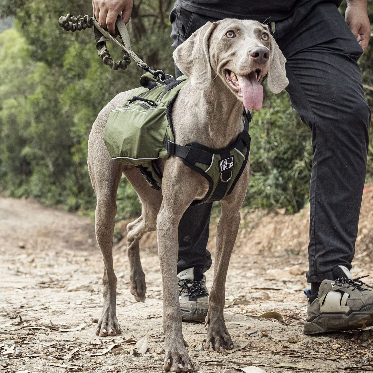 ONETIGRIS Y-Shaped Dog Backpack with Handle, Pockets & No Pull D-Rings, Lightweight Hiking Gear for Dogs Hunting Camping Travel (Medium, Green)