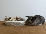 Twilumin 31PCS Rabbit Chew Treat Toys for Teeth Health, Natural Bunny Enrichment Toys for Boredom & Stress Relief, Keep Busy Toys for Guinea Pig Chinchilla Hamster Rat Gerbil Degu Indoor Outdoor