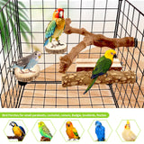 CZWESTC 8PCS Natural Grape Wood Bird Perch Set - Parrot Cage Stand with Paw Grinding Forks, Chewing Sticks & Exercise Branches for Parakeets, Cockatiels, Conures, Budgies, Finches