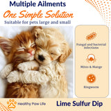 Healthy Paw Life - Lime Sulfur Dip - Pet Care for Itchy and Dry Skin - Xtra Strength Formula - Safe Solution for Dog, Cat, Puppy, Kitten, Horse (1 Gallon)