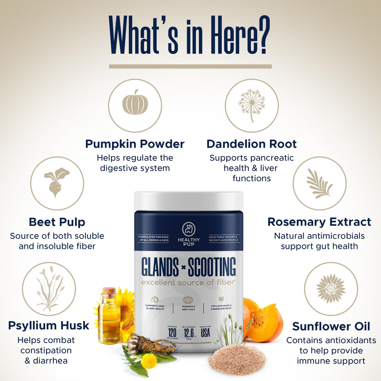 Glands Bowel Support - 120 Delicious Scoot Soft Chews for Scooting, Healthy Anal Glands, and Digestive Health - Made with Pumpkin Powder for Dogs