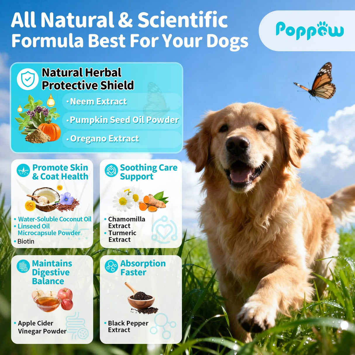 POPPAW Flea and Tick Prevention Support for Dogs, Natural Flea Treatment Drops with Neem, Oregano for Puppy Oral Flea and Tick Treatment Supplement for All Breeds and Ages - Chicken Flavor, 2 FL.Oz
