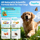POPPAW Flea and Tick Prevention Support for Dogs, Natural Flea Treatment Drops with Neem, Oregano for Puppy Oral Flea and Tick Treatment Supplement for All Breeds and Ages - Chicken Flavor, 2 FL.Oz